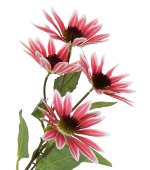 JEŻÓWKA CZERWONA RUDBEKIA GAŁĄZKA 72 CM