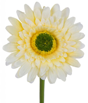 GERBERA J. ŻÓŁTA GAŁĄZKA 46 CM ŁODYGOWA