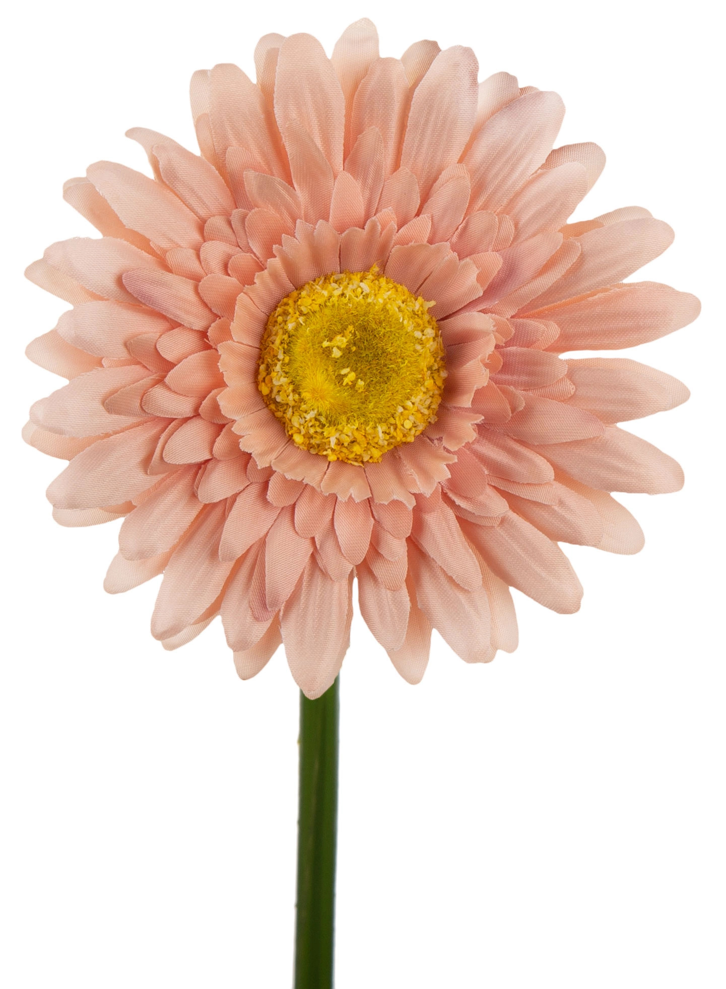 GERBERA HAZELNUT GAŁĄZKA 46 CM ŁODYGOWA