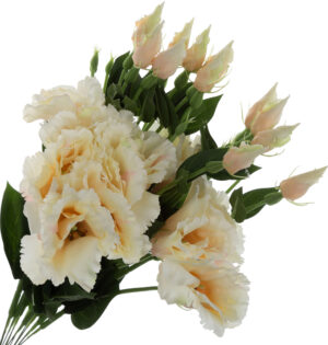 12X EUSTOMA J. BRZOSKWINIOWA GAŁĄZKA 48 CM