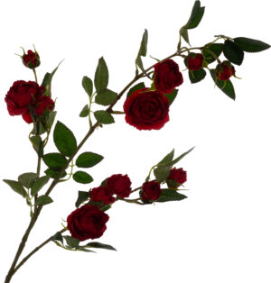 DZIKA RÓŻA GAŁĄZKA CZERWONA 80 CM RED GREEN