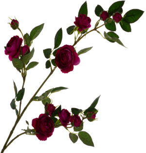 DZIKA RÓŻA GAŁĄZKA FUKSJA 80 CM SWEET FUCHSIA