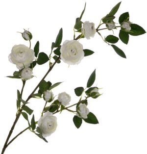 DZIKA RÓŻA GAŁĄZKA KREMOWA 80 CM CREAM