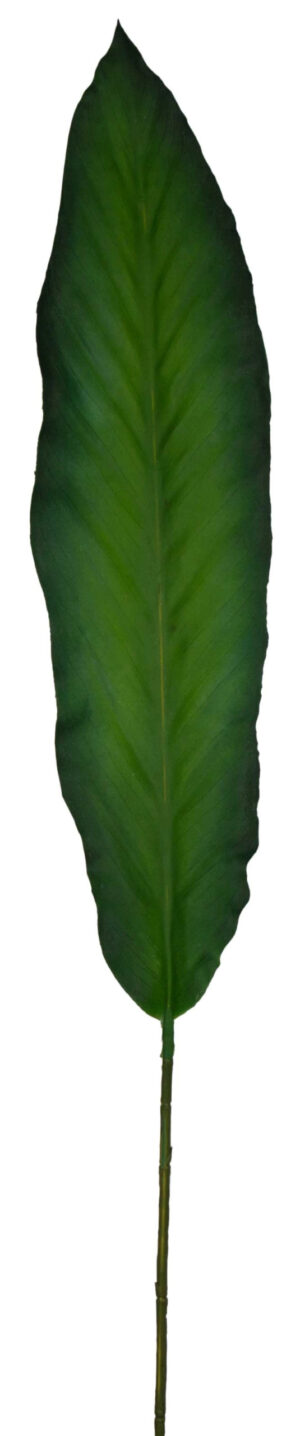 LIŚĆ GUMOWY STRELICJA 85 CM