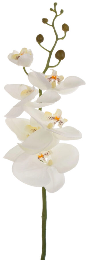 STORCZYK J. KREM ORCHIDEA GAŁĄZKA 90 CM KWIATY SZTUCZNE