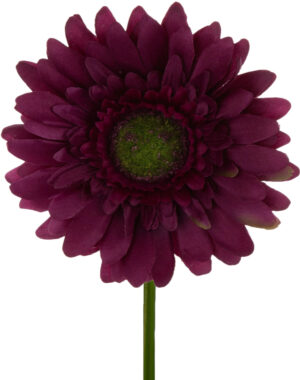 GERBERA PLUM FIOLETOWA GAŁĄZKA 46 CM ŁODYGOWA