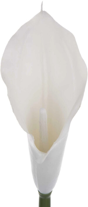 KALIA GUMOWA BIAŁA WHITE GAŁĄZKA 71 CM
