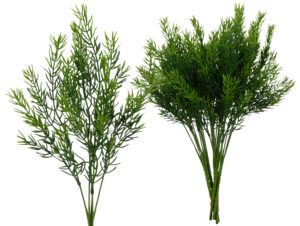 6X ASPARAGUS GAŁĄZKA DODATEK KWIATY SZTUCZNE 37 CM