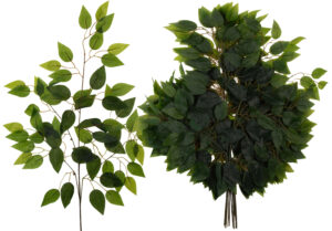 12 X LIŚĆ LIŚCIE BENIAMIN FIKUS 68 CM