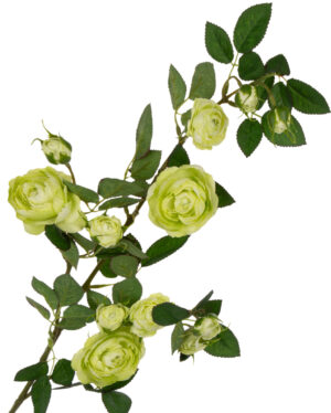 DZIKA RÓŻA GAŁĄZKA ZIELONA 80 CM GREEN