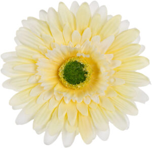24 SZT. GERBERA LT YELLOW ŻÓŁTA GŁÓWKA WYROBOWA