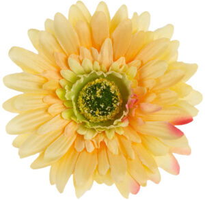 24 SZT. GERBERA YELLOW ŻÓŁTA GŁÓWKA WYROBOWA