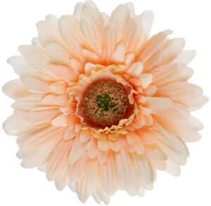 24 SZT. GERBERA PEACH BRZOSKWINIOWA GŁÓWKA WYROBOWA