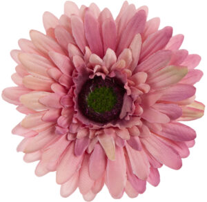 24 SZT. GERBERA DIRTY VIOLET FIOLET RÓŻ GŁÓWKA WYROBOWA