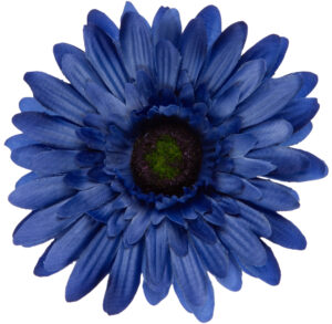 24 SZT. GERBERA BLUE NIEBIESKA GŁÓWKA WYROBOWA