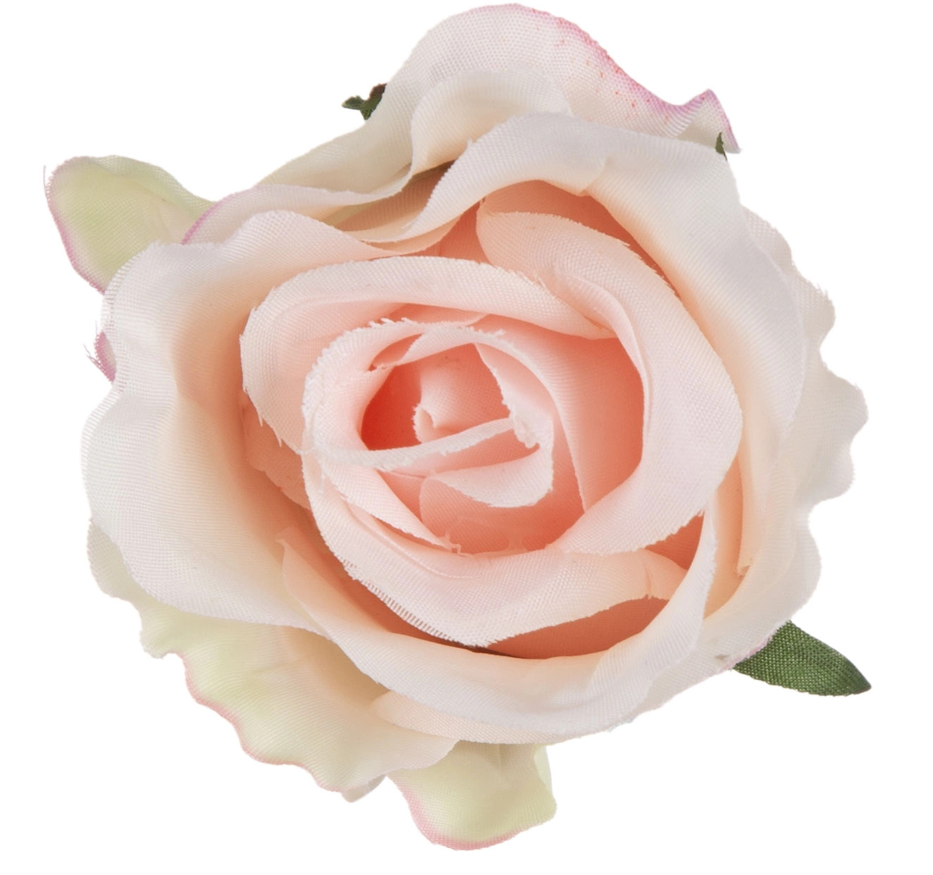 RÓŻA WYROBOWA DELICATE APRICOT 24 SZT GŁÓWKA KWIATOWA - obrazek 3