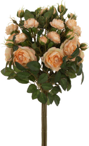 DZIKA RÓŻA REAL PEACH BRZOSKWINIOWA BUKIET 6 GAŁĄZEK 50 CM