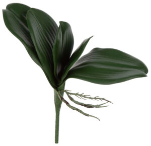 LIŚĆ STORCZYKA STORCZYK ORCHIDEA LIŚCIE SZTUCZNE