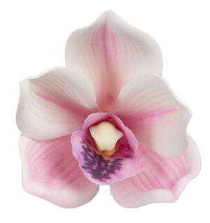 12 SZT. STORCZYK CYMBIDIUM LT PINK JASNY RÓŻ GŁÓWKA WYROBOWA PIANKA