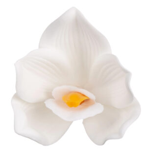12 SZT. STORCZYK CYMBIDIUM WHITE BIAŁY GŁÓWKA WYROBOWA PIANKA