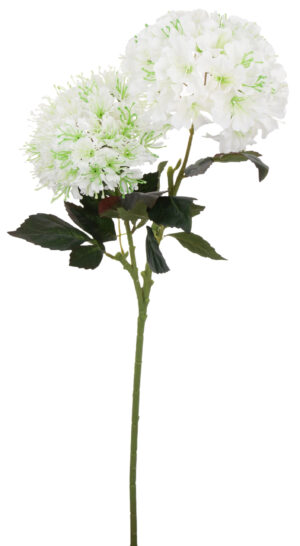 HORTENSJA BIAŁA GAŁĄZKA 75 CM