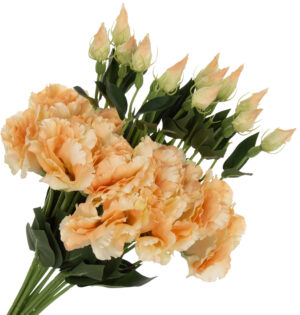 12X EUSTOMA LT PEACH BRZOSKWINIOWA GAŁĄZKA 48 CM