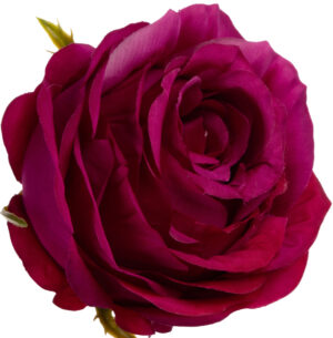RÓŻA WYROBOWA SWEET FUCHSIA 12 SZT GŁÓWKA KWIATOWA PREMIUM