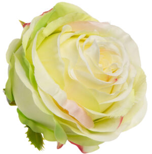RÓŻA WYROBOWA LT GREEN EDGE PINK 12 SZT GŁÓWKA KWIATOWA PREMIUM