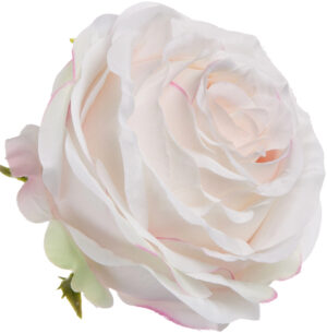 RÓŻA WYROBOWA CREAM POWDER PINK 12 SZT GŁÓWKA KWIATOWA PREMIUM