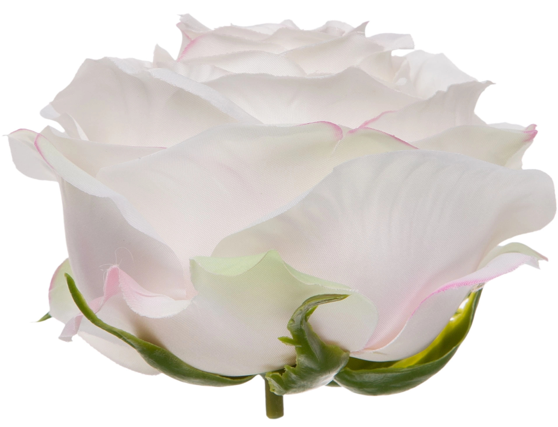 RÓŻA WYROBOWA CREAM POWDER PINK 12 SZT GŁÓWKA KWIATOWA PREMIUM - obrazek 2