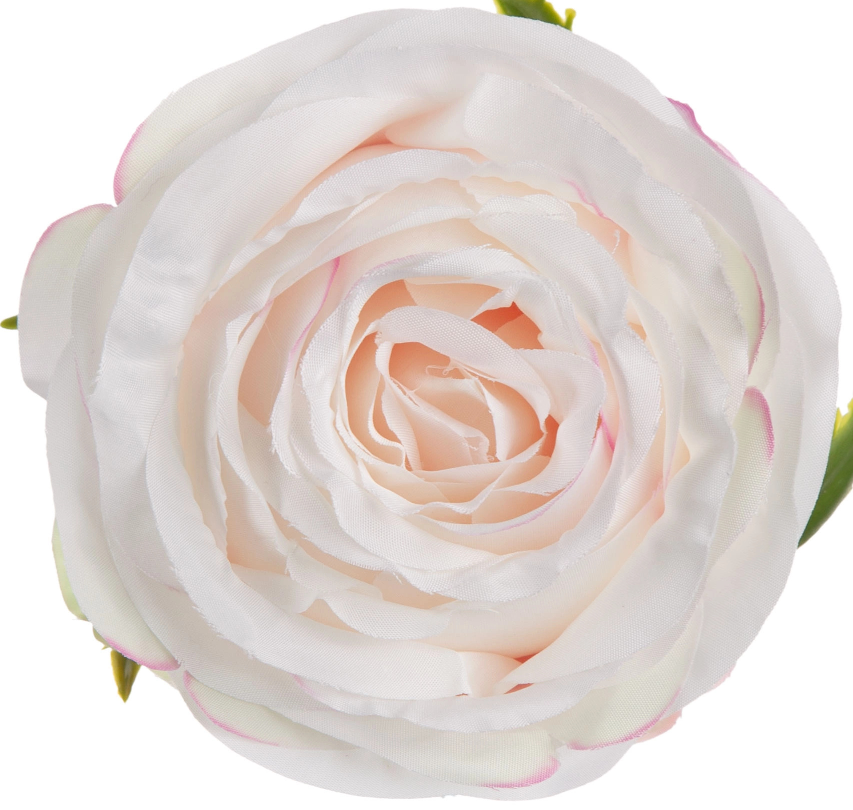 RÓŻA WYROBOWA CREAM POWDER PINK 12 SZT GŁÓWKA KWIATOWA PREMIUM - obrazek 3