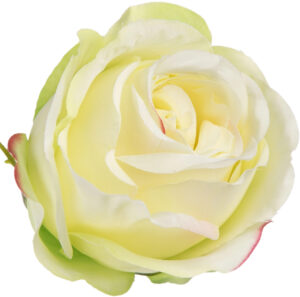 12 SZT. RÓŻA WYROBOWA GREEN EDGE PINK ZIELONA RÓŻOWA GŁÓWKA KWIATOWA