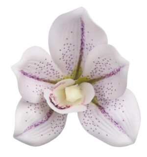 12 SZT. STORCZYK CYMBIDIUM LT. LAVENDER LAWENDOWY GŁÓWKA WYROBOWA PIANKA