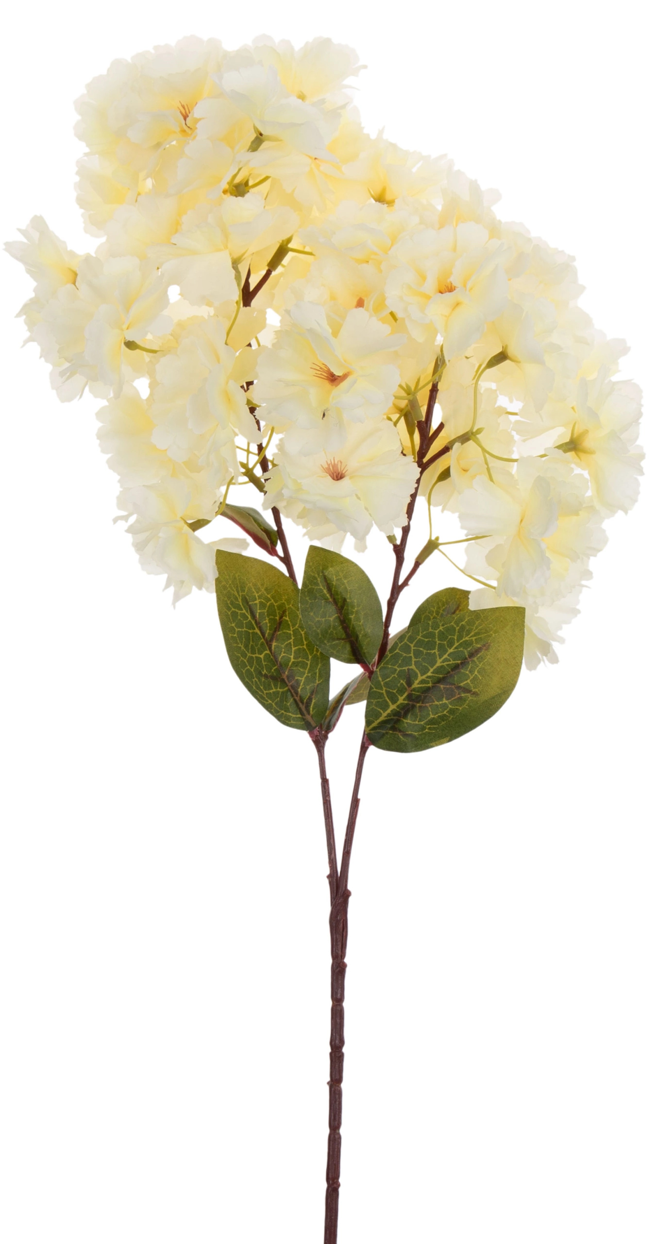 HORTENSJA GAŁĄZKA KWITNĄCA ŻÓŁTA 74 CM