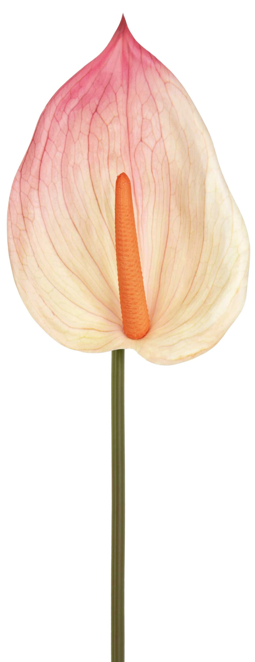 ANTURIUM KREM RÓŻ 84 CM KWIATY SZTUCZNE