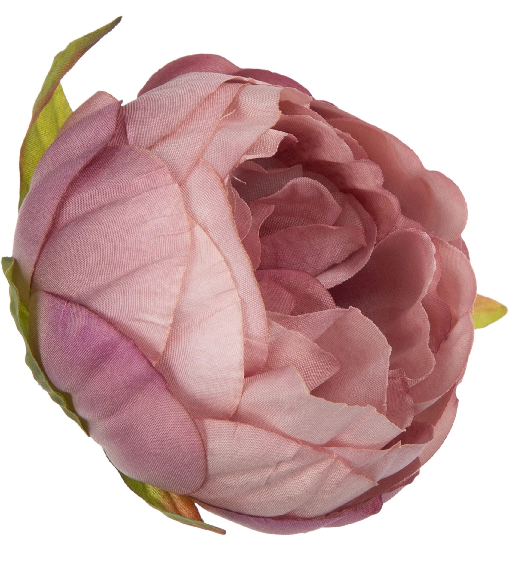 12X PEONIA PIWONIA AUTUM LT. PINK JESIENNY RÓŻ GŁÓWKA WYROBOWA